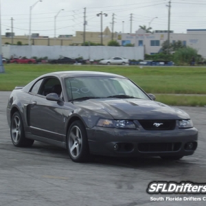 american_muscle2