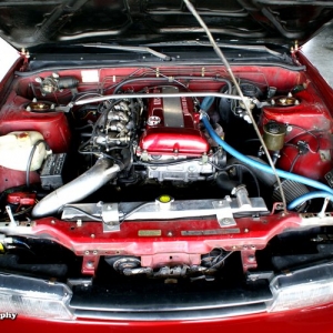 FARA113