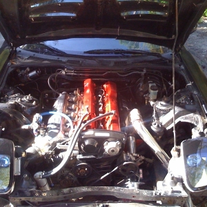 Photo-36