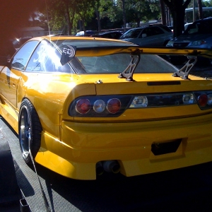 LS1_paint