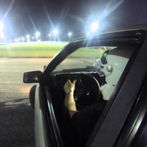 Cody at PBIR