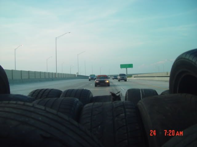 DSC01564.jpg
