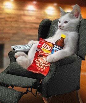 lazy.jpg