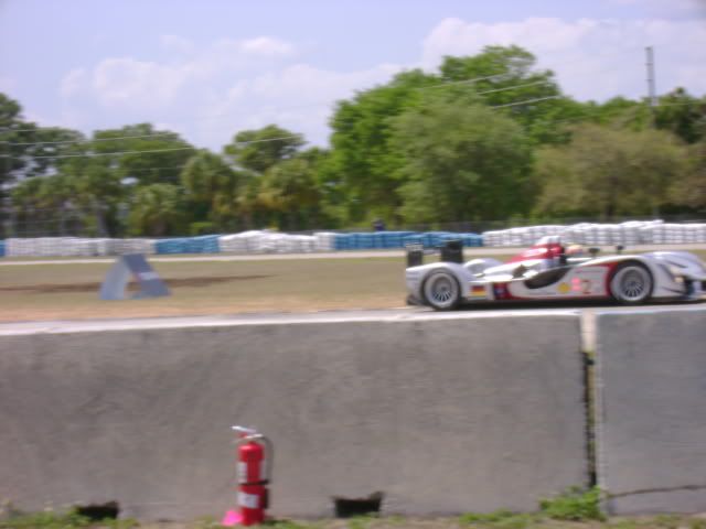 DSC00855.jpg