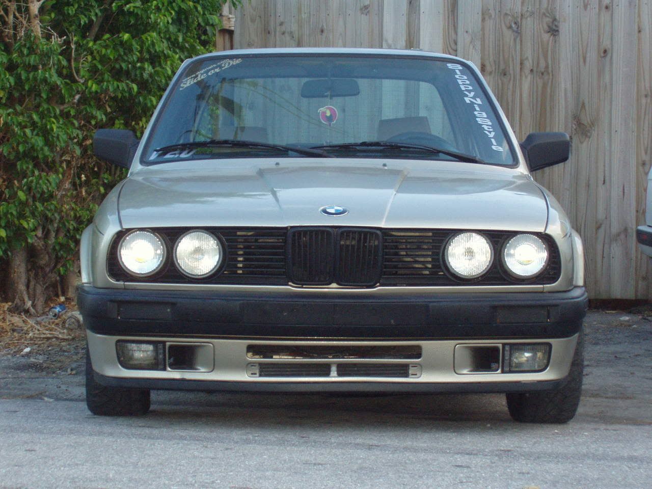 P1010045.jpg