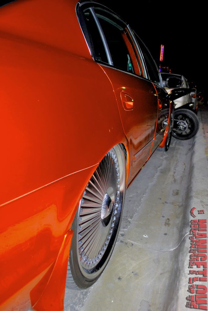 DSC_0895.jpg