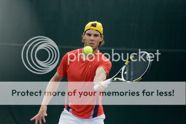 nadal3.jpg