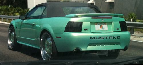 mustang_donk.jpg