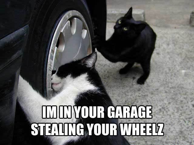 wheels.jpg