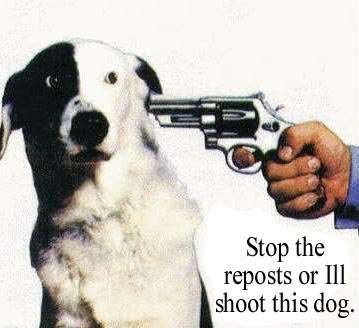 repost.jpg