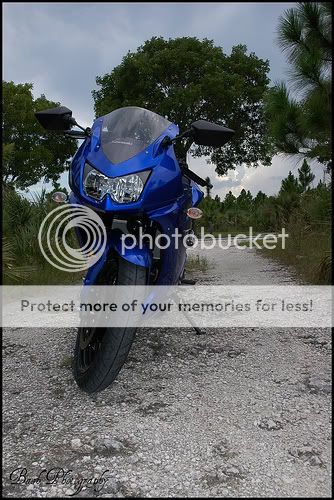 3872500228_7262a5f7ec.jpg