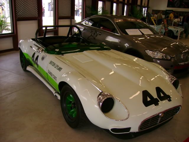 DSC00871.jpg