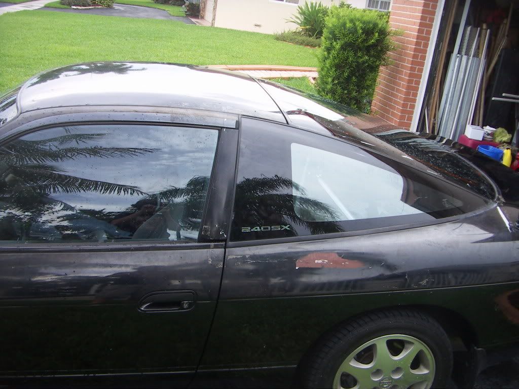 PICT6243.jpg
