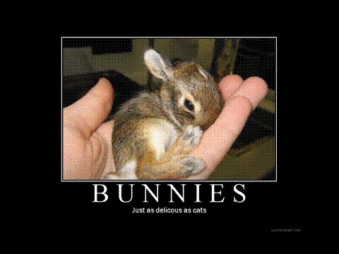 bunnies.jpg