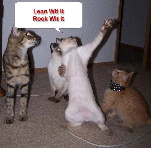 lean_with_it.jpg