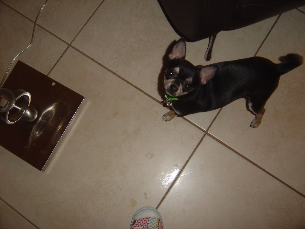 DSC00097.jpg