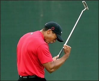 woods.jpg