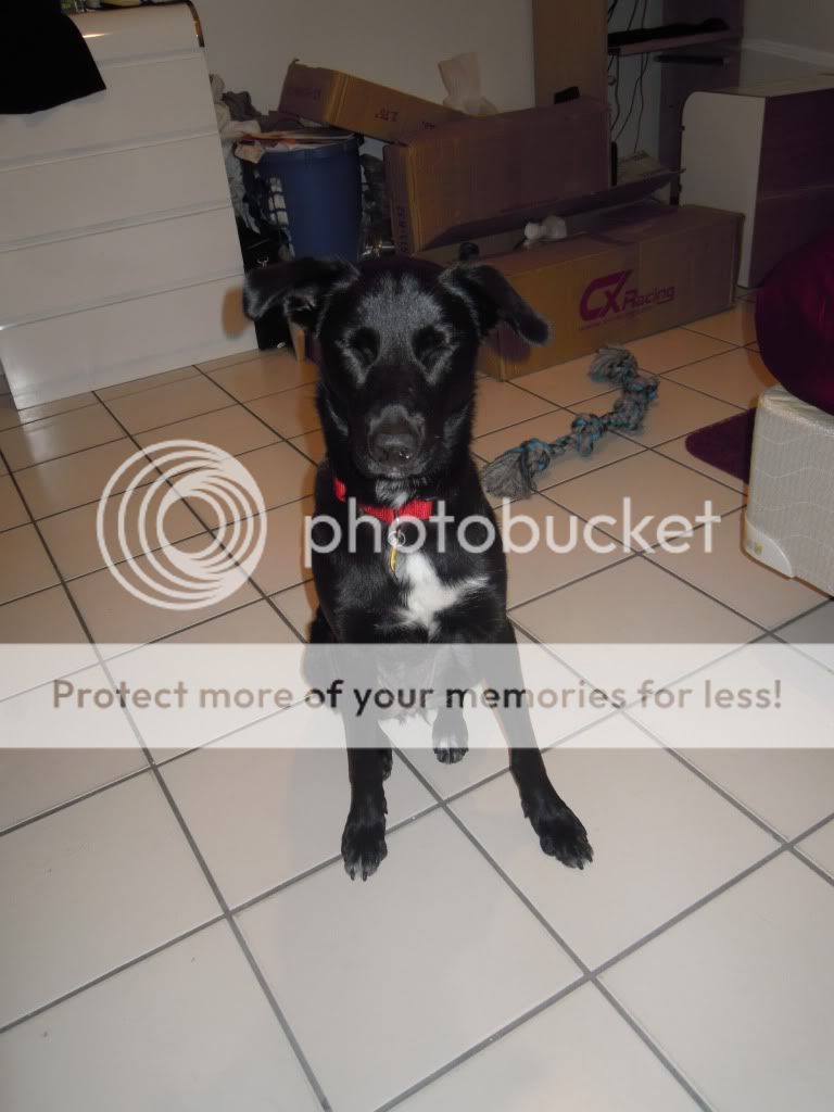 DSCN0605.jpg