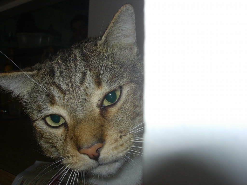 p004.jpg