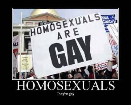 homosyq3.jpg