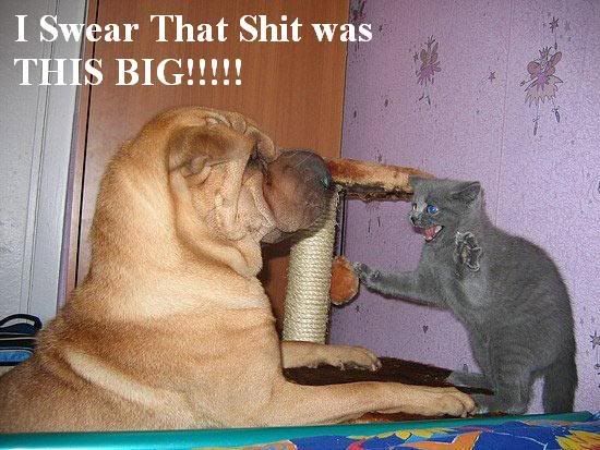 was_this_big.jpg