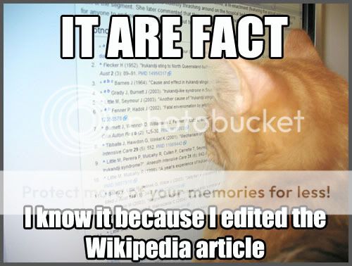 Wikipedia_cat.jpg