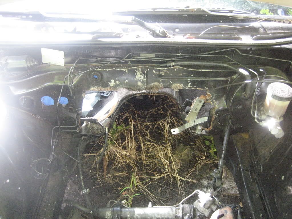enginebay2.jpg