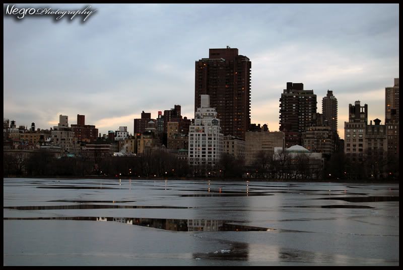 DSC_2295.jpg