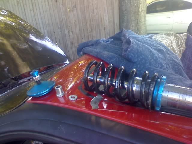 1001091442a_101983.jpg