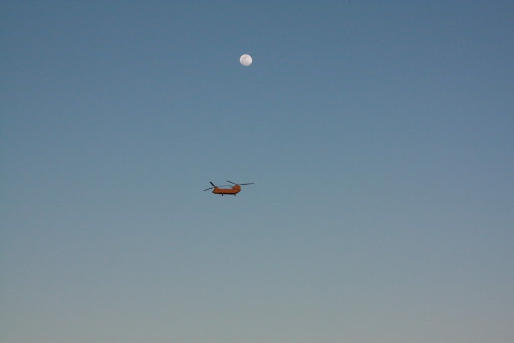 IMG_2368.jpg