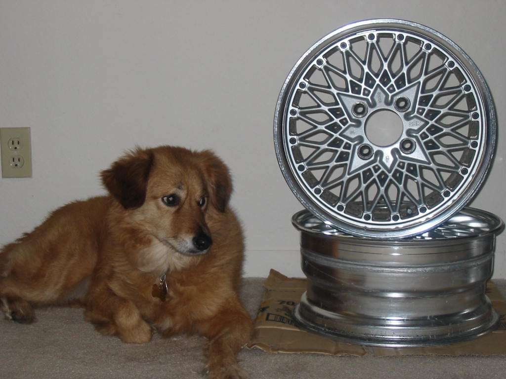 img0087ac9.jpg