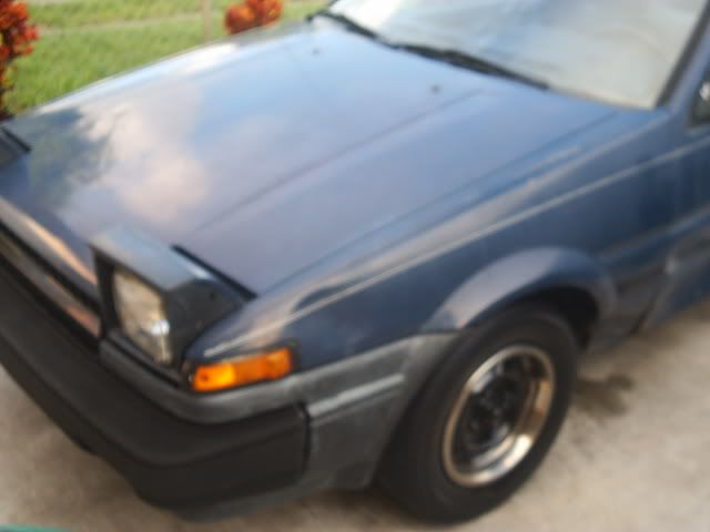 S2010114.jpg
