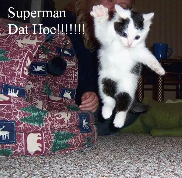 superman_cat.jpg