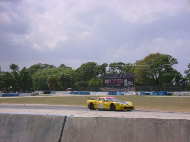 DSC00849.jpg