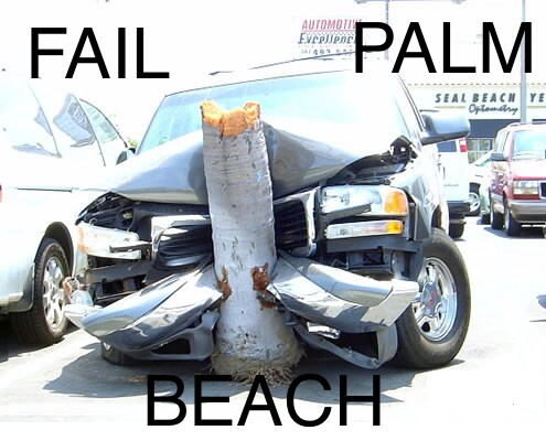 failpalmbeach1.png