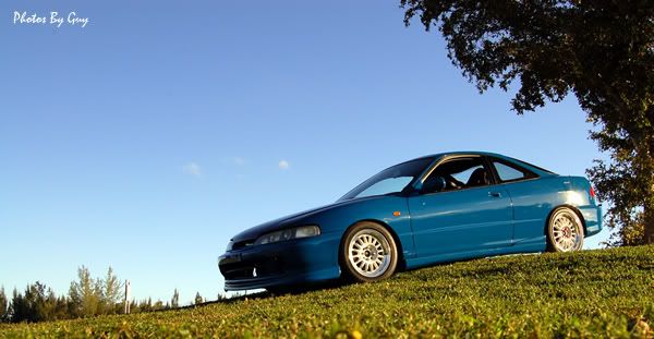 DSC_0981.jpg