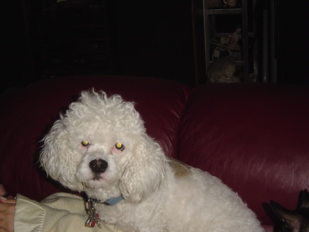 DSC00047.jpg