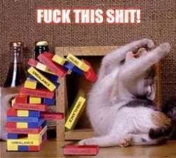 Fun_Cat_Jenga.jpg
