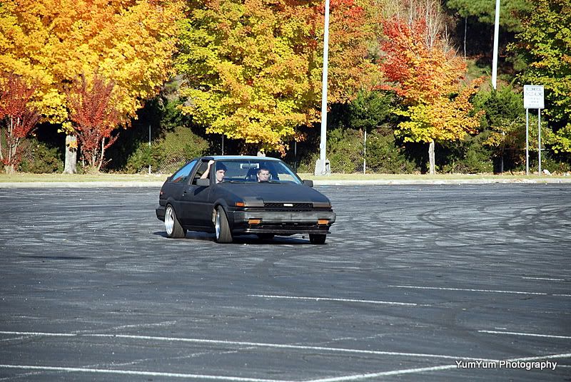 DSC_0066-1.jpg