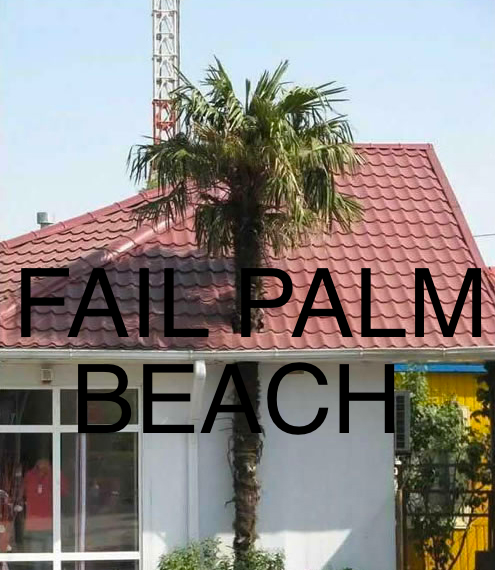 failpalmbeach.png