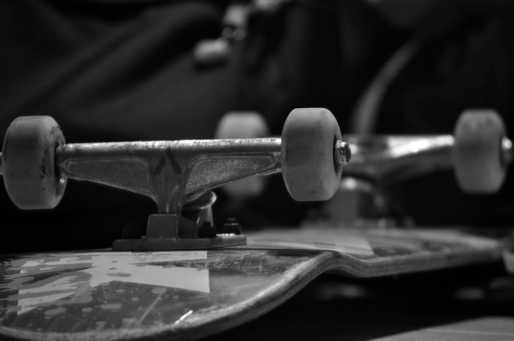 DSC_01242.jpg