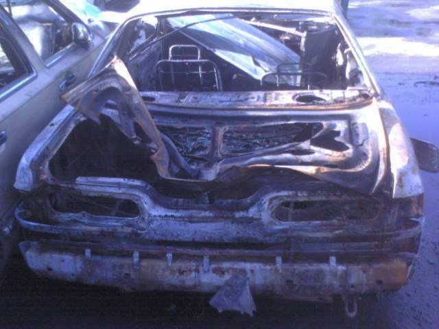 burnt1.jpg