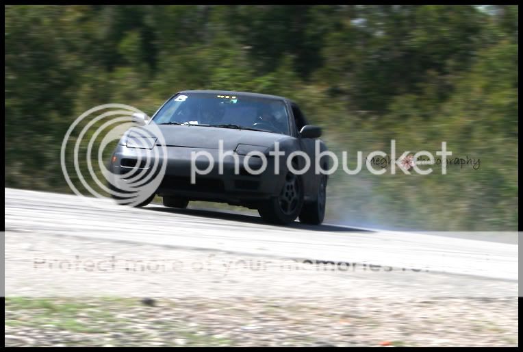 IMG_9995a.jpg