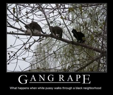 cat-gang-rape-480x404.jpg