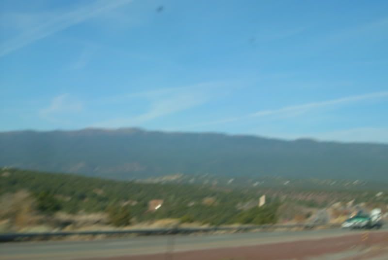 DSCI0122.jpg