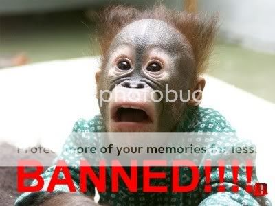 banned-chimp.jpg