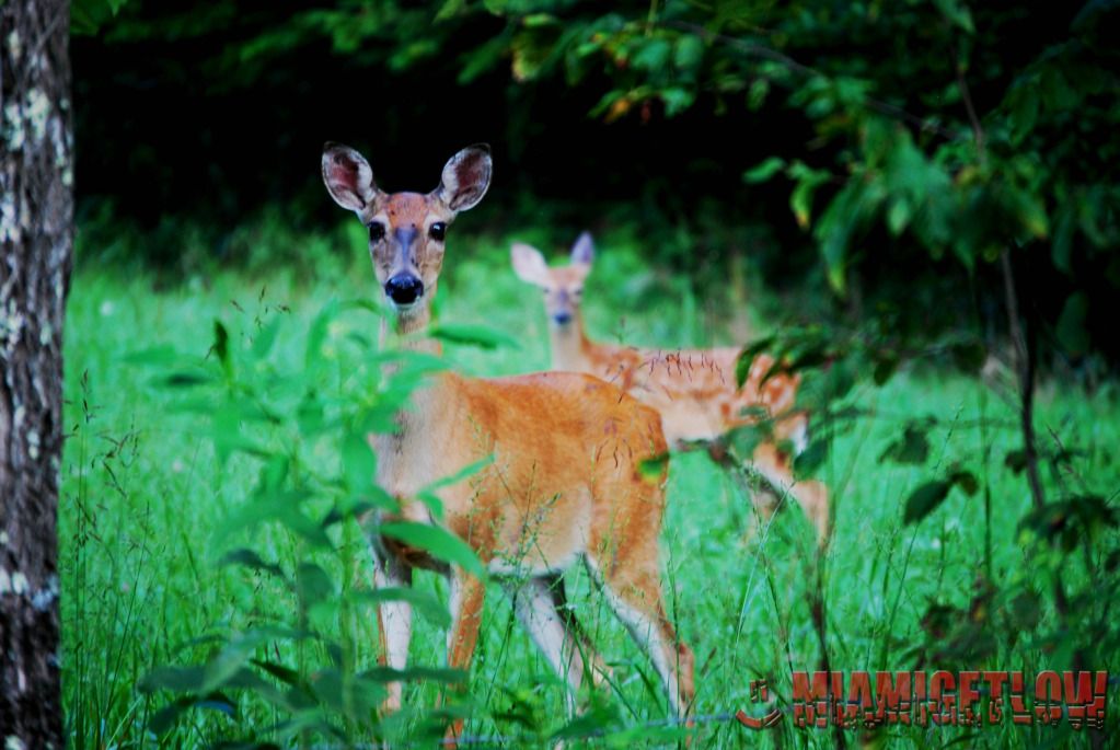 DSC_0395.jpg