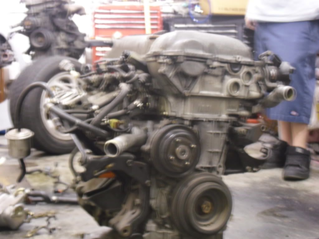 CIMG0463.jpg