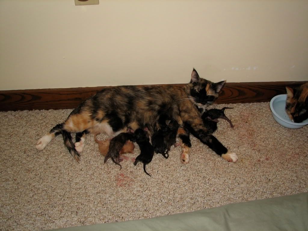 IMG_4360.jpg