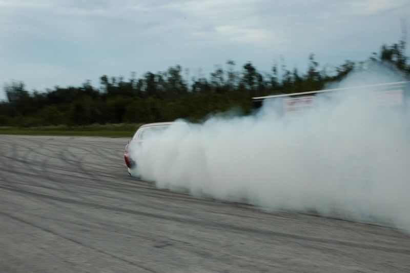 DSC_0771-1.jpg